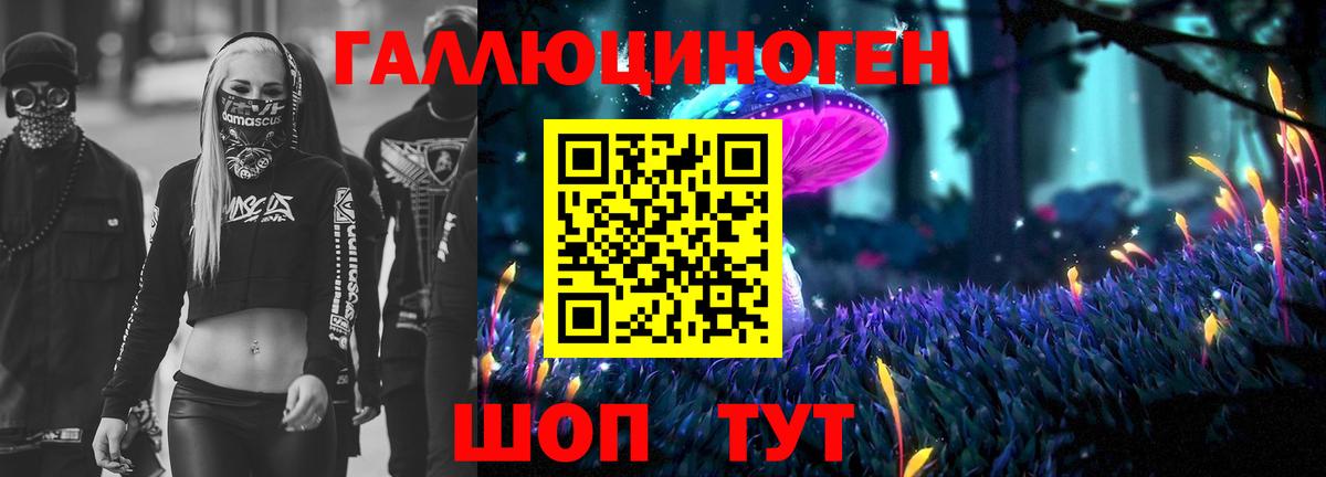 Псилоцибиновые грибы Psilocybine cubensis Назарово