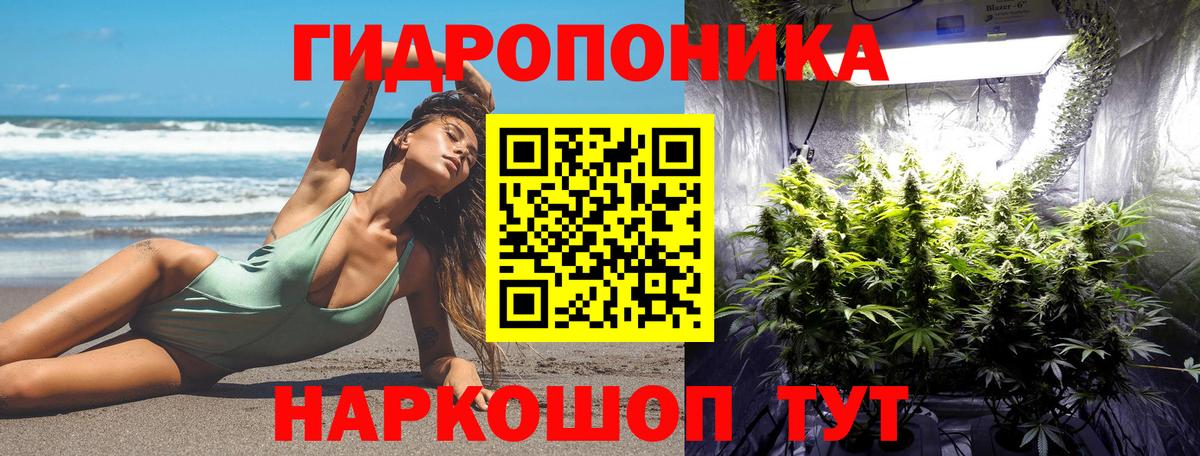 Бошки Шишки сатива  Шишки марихуана SATIVA & INDICA  Назарово  Вход с VPN  Бошки Шишки Bruce Banner 